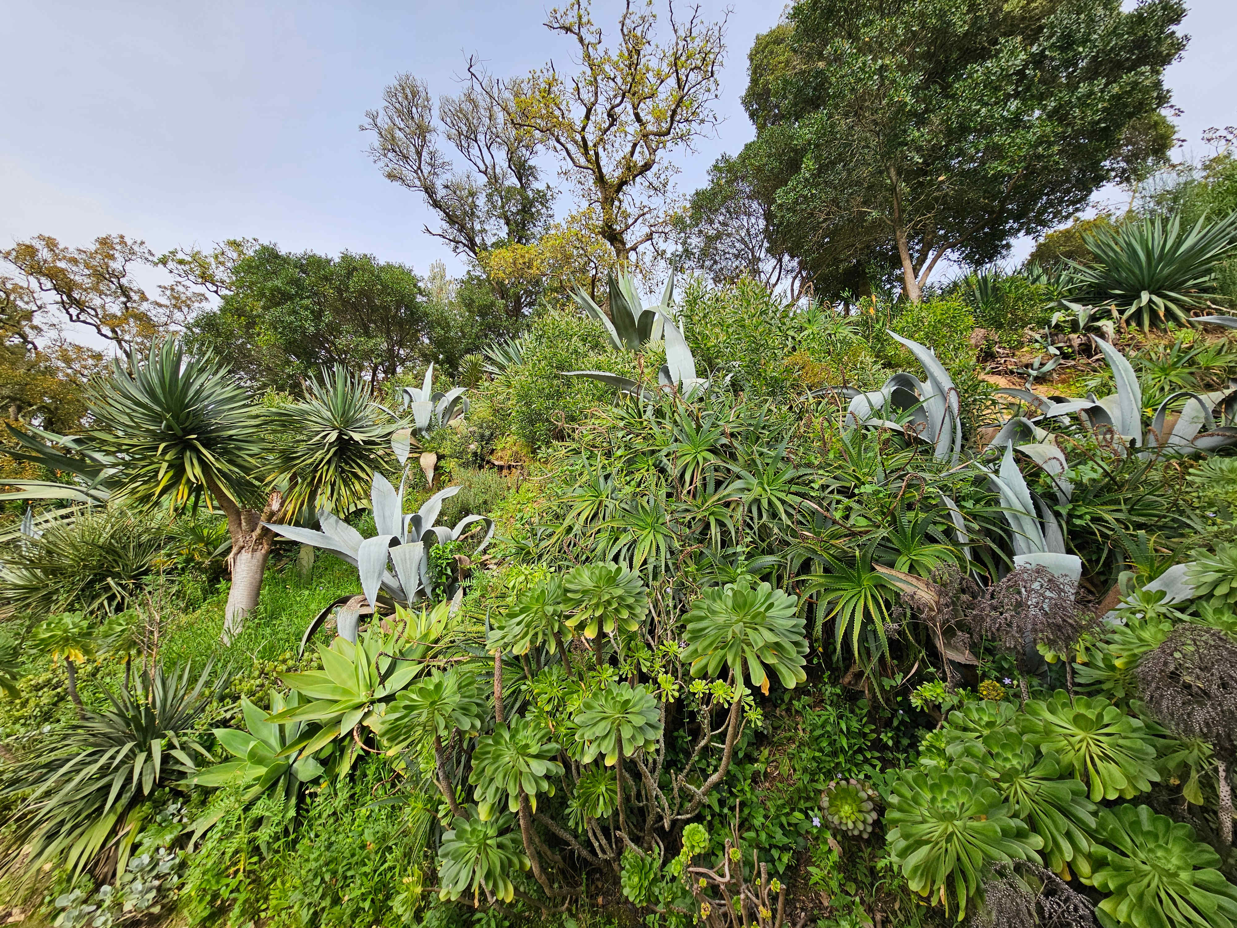 Sintra